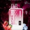 SP2 煙彈 SP2S GEM 9000 PUFFS 思博瑞抛棄式電子煙 711到付