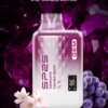 SP2 煙彈 SP2S GEM 9000 PUFFS 思博瑞抛棄式電子煙 711到付