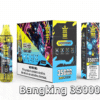 BANG KING 35000 PUFFS 龍捲風  一次性抛棄式霧化筆狀電子煙 超大容量 充電帶顯示屏