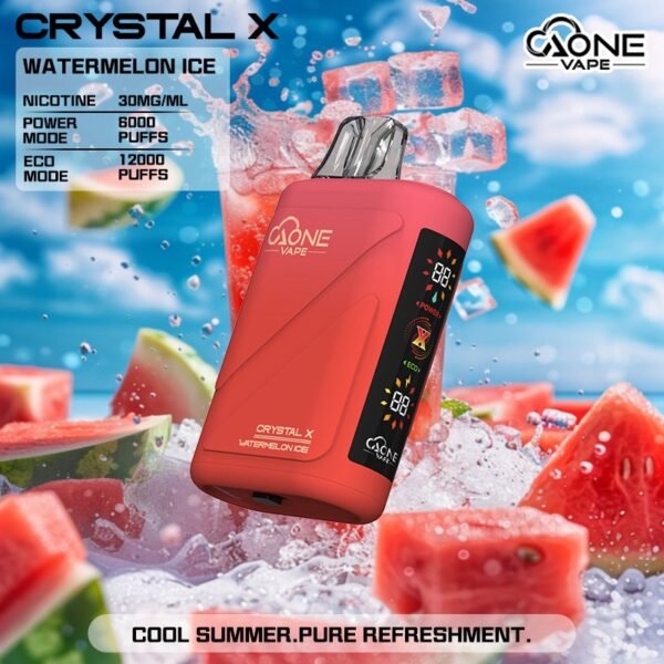 AONE Crystal X 水晶二代 12000口 一次性抛棄式