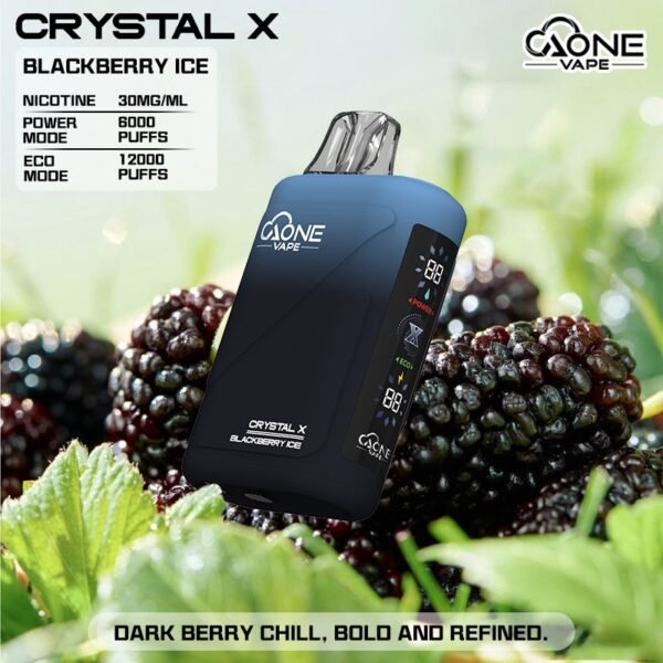 AONE Crystal X 水晶二代 12000口 一次性抛棄式